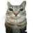 @dreamporsche911-bf4cm Avatar