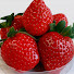 aM7_ZRsREbk-channel-avatar-ARIANA KITCHEN 