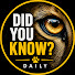 ueETCohbntY-channel-avatar-Didyouknowddaily 