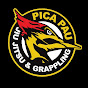 Pica Pau Jiu Jitsu & Grappling logo