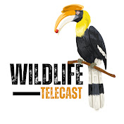 Wildlife Telecast 