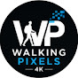 Walking Pixels 𝟰𝗞 Avatar