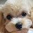@Gamja_Owner