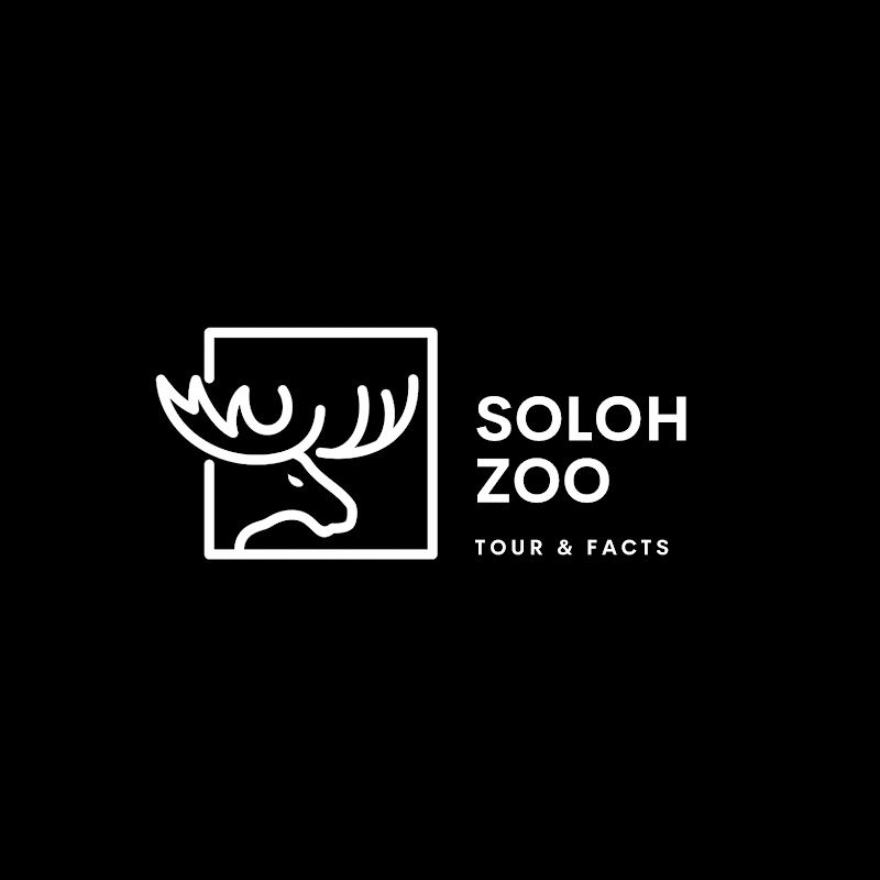 SolohZoo - صلوح زوو