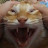 @Noxar_cz's avatar
