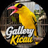 gFG7nhNq_JU-channel-avatar-gallery kicau