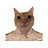 @fady110