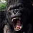 ES945BXL8iw-channel-avatar-SSB2007