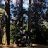0GPSK5bPiak-channel-avatar-ThisBearTravels