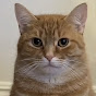 funnypets327