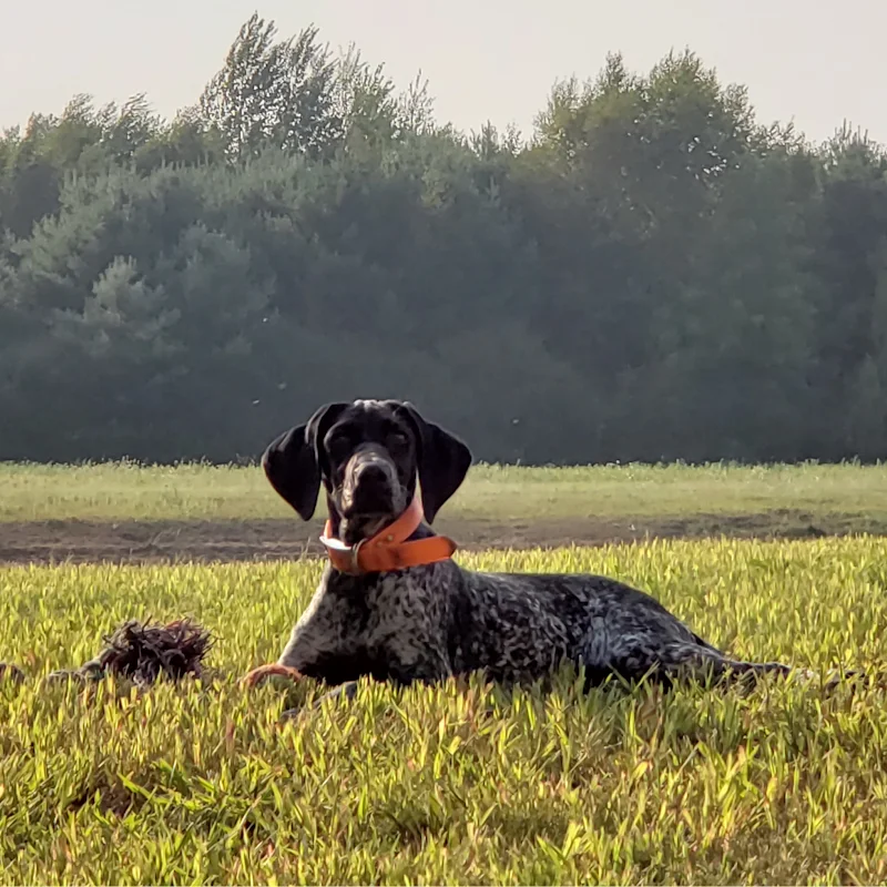 Country-Side Breeders