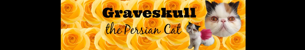 Graveskull the persian YouTube channel avatar