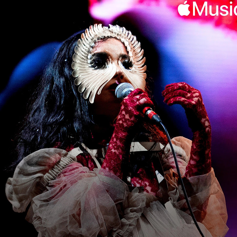 Björk's Joyous Tunes