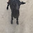 @goatxyz-r