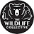 The Wildlife Collective