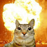 qkzxT_4pULY-channel-avatar-MeowStorm