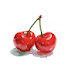 R_wnQ6srBrM-channel-avatar-오늘쏭 Oneulssong