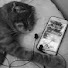 U16FYv8mshY-channel-avatar-lo-fi world 🎧
