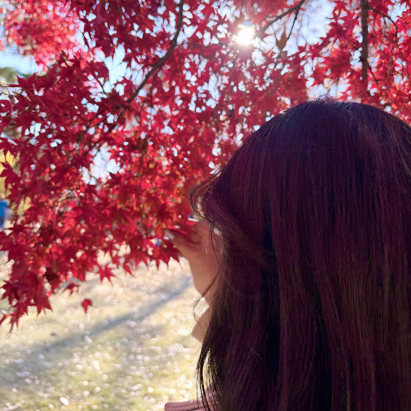 Joy’s life In Japan