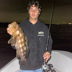 FADER FiSH