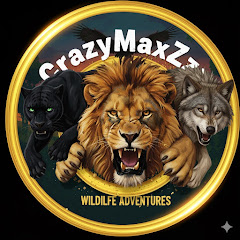 CrazyMaxZzz
