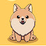 oVJCLnw6KWc-channel-avatar-Yuki the Pomeranian