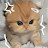 @Mousamousa-i6z