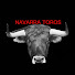 qIwUNEhVjZ8-channel-avatar-Navarra Toros