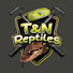choZxE-tao8-channel-avatar-T and N Reptiles