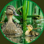 Village Duck Farm  logo