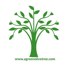 A Green Olive Tree Avatar