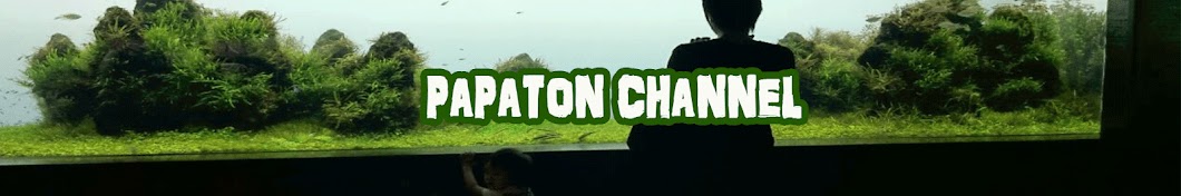 PAPATONã¡ã‚ƒã‚“ã­ã‚‹/papaton channel Avatar channel YouTube 