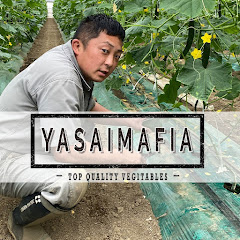 野菜マフィア 〜最高の野菜作りch〜アイコン画像