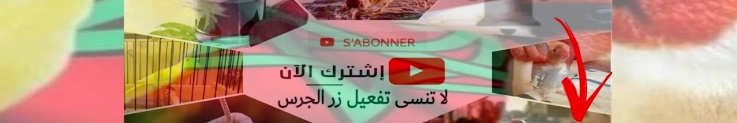 Ø§Ù„ØªØ¬Ù…Ø¹ Ø§Ù„Ø¹Ø§Ù… Ù„Ù„Ø·ÙŠÙˆØ± Аватар канала YouTube