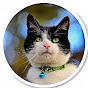 sb_AnimColl Image Thumbnail