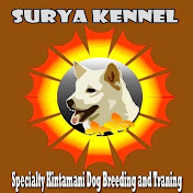 Surya kennel