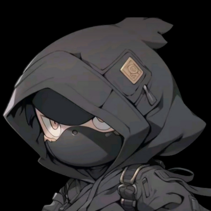 Nanoninjo
