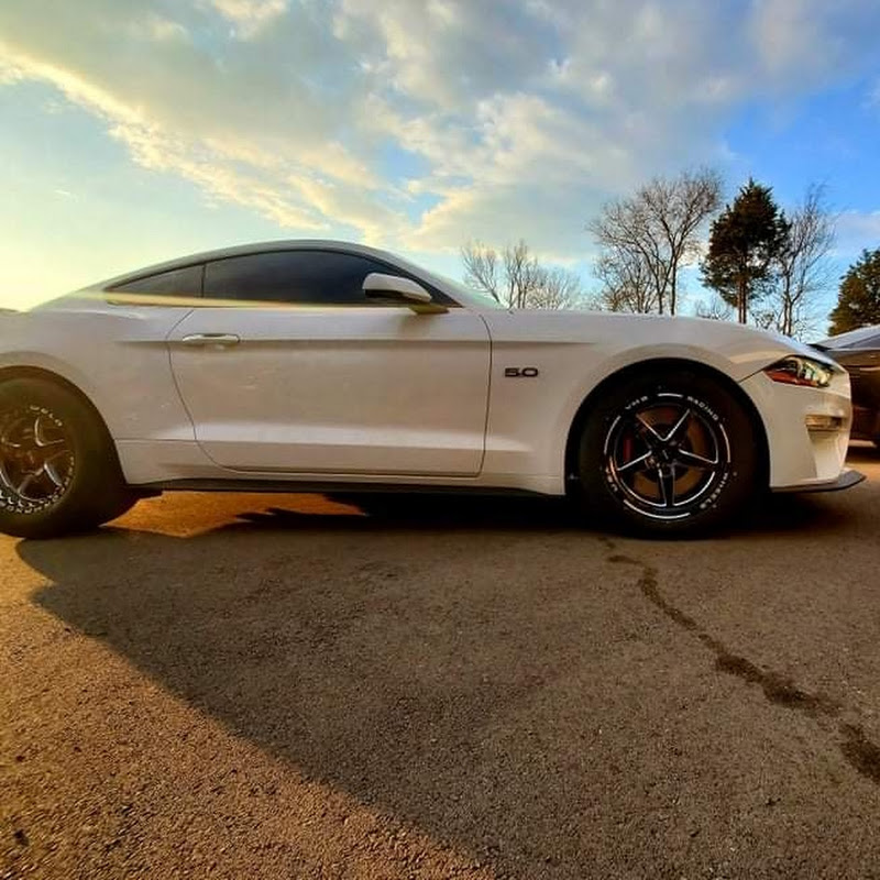 ThatMustangGT