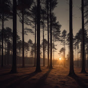 NatureFocus
