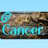 fY5bEs5eEj0-channel-avatar-ForTheMoon OfCancer