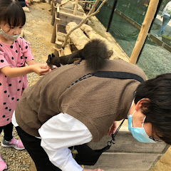 教育系YouTuber  生物・生物基礎講座アイコン画像