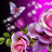 @sithuminiindrachapa759 Avatar