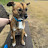 @ddoonddoonsdog