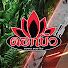 -dwNLpX07dY-channel-avatar-DokbuaGym