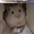@네오테니양