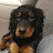 @gordonsetter_tira