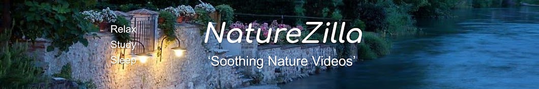 Nature Zilla Banner