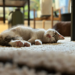 僕と うみ のスローライフ‪🎣‬