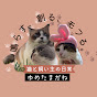 ゆめたまがね