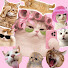 W_4rtKYSsLw-channel-avatar-Katz palace